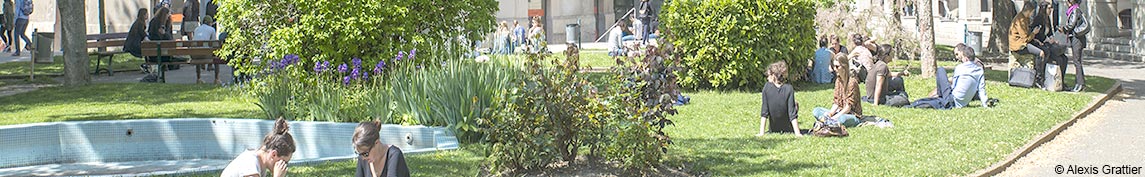 Université Lyon 2